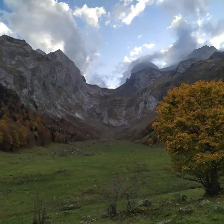 Co Dera Piusa *